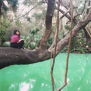 Meet your Posher, Cassis